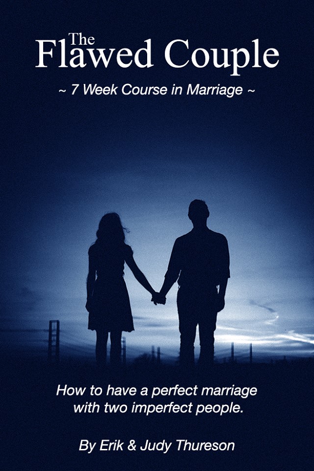 The Flawed Couple book cover